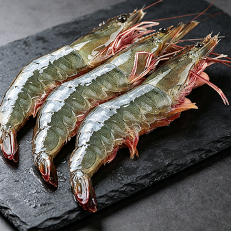 Premium Raw Shrimp, Large & Succulent